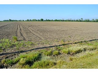 Property photo 50 - LAND AUCTION - 215+/- ACRES OFFERED IN 6 TRACTS IN VAN WERT COUNTY, OHIO